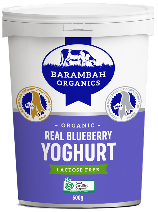 BlueberryYoghurt