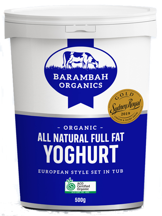 Mango Yoghurt