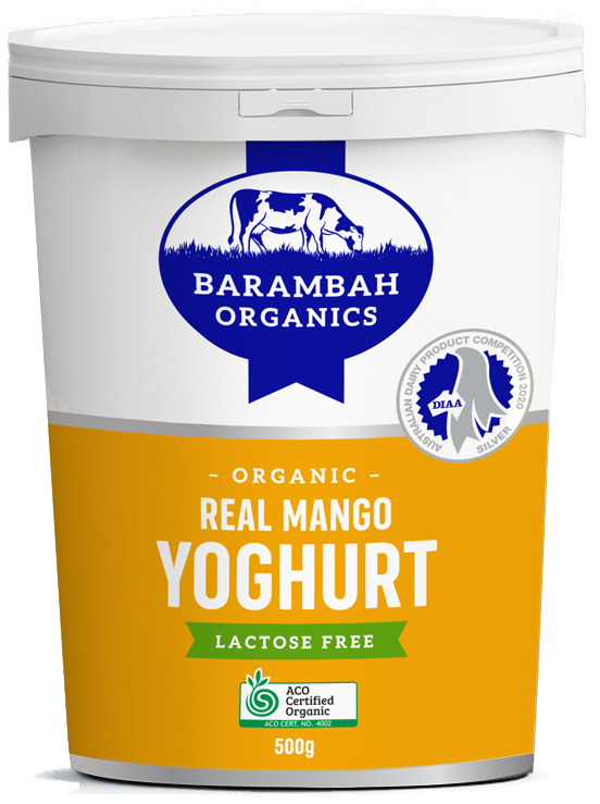 Mango Yoghurt