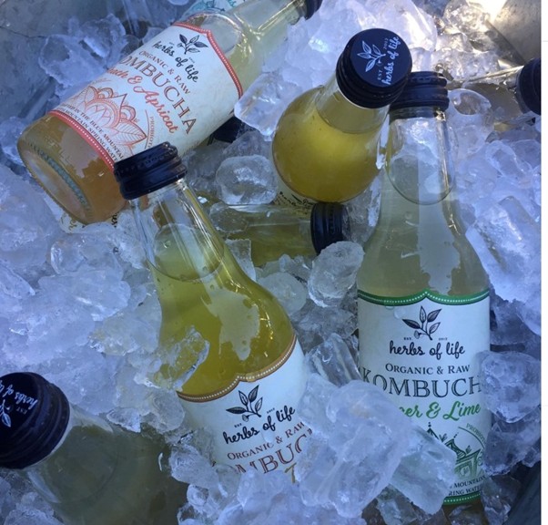 Hernbs of Life Kombucha 